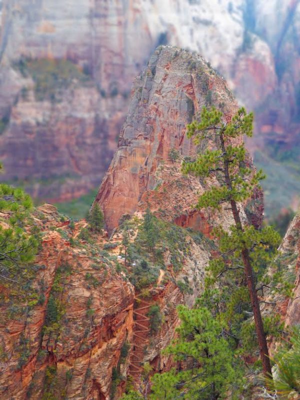 The Ultimate Guide To Hiking Angel's Landing - Globetrotting Ginger