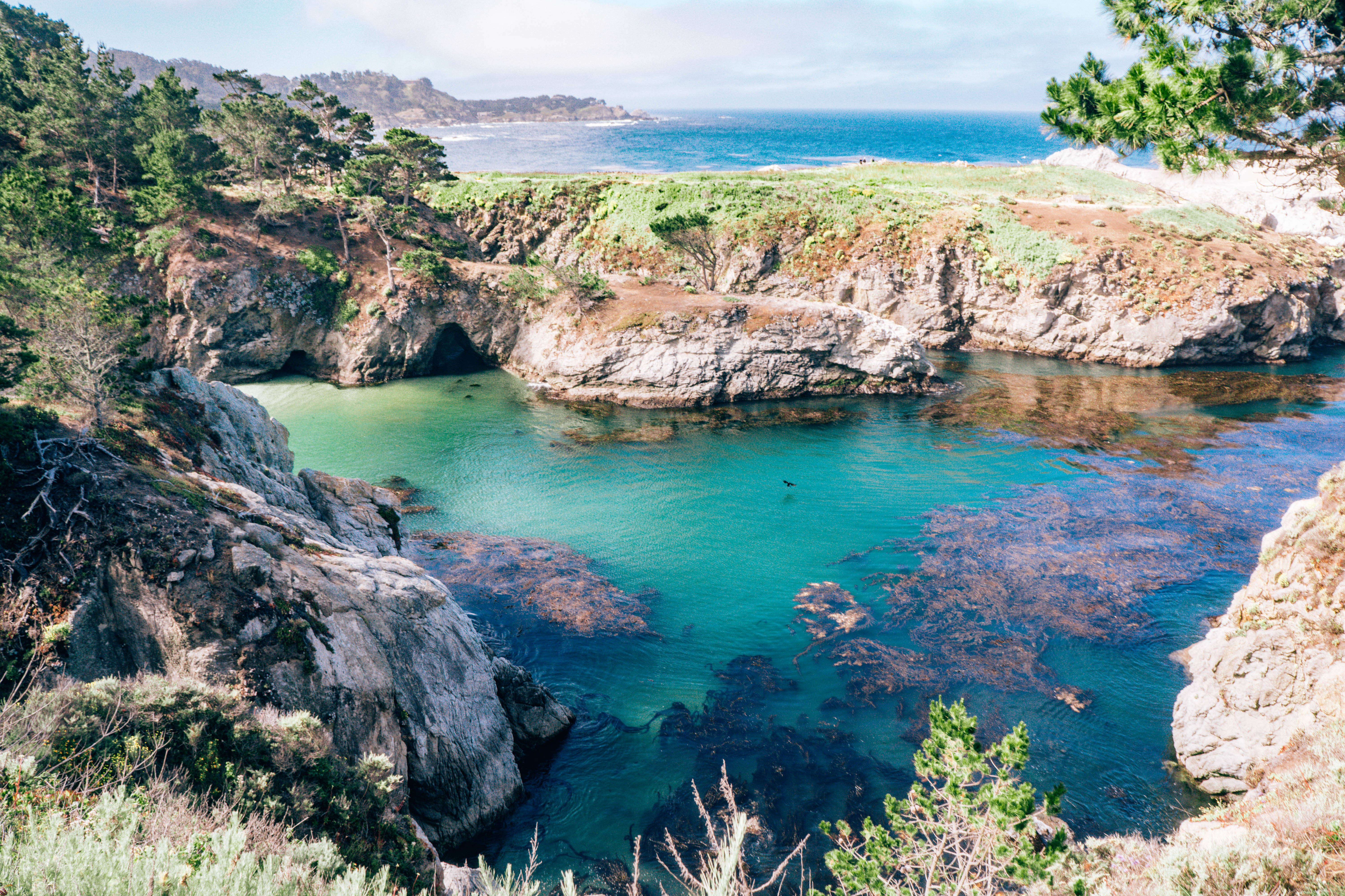 Point Lobos- Big Sur Itinerary