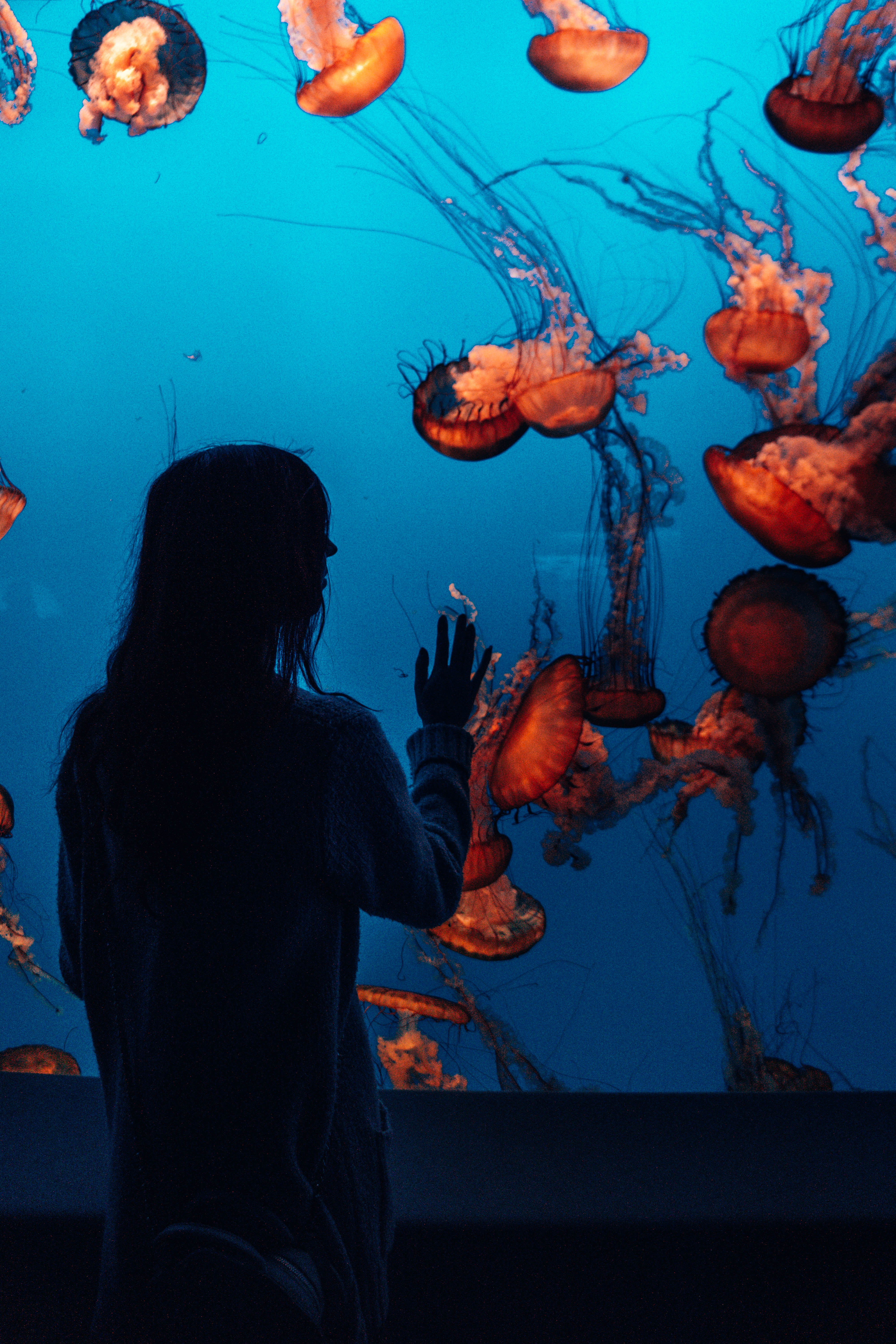 Monterrey Bay Aquarium