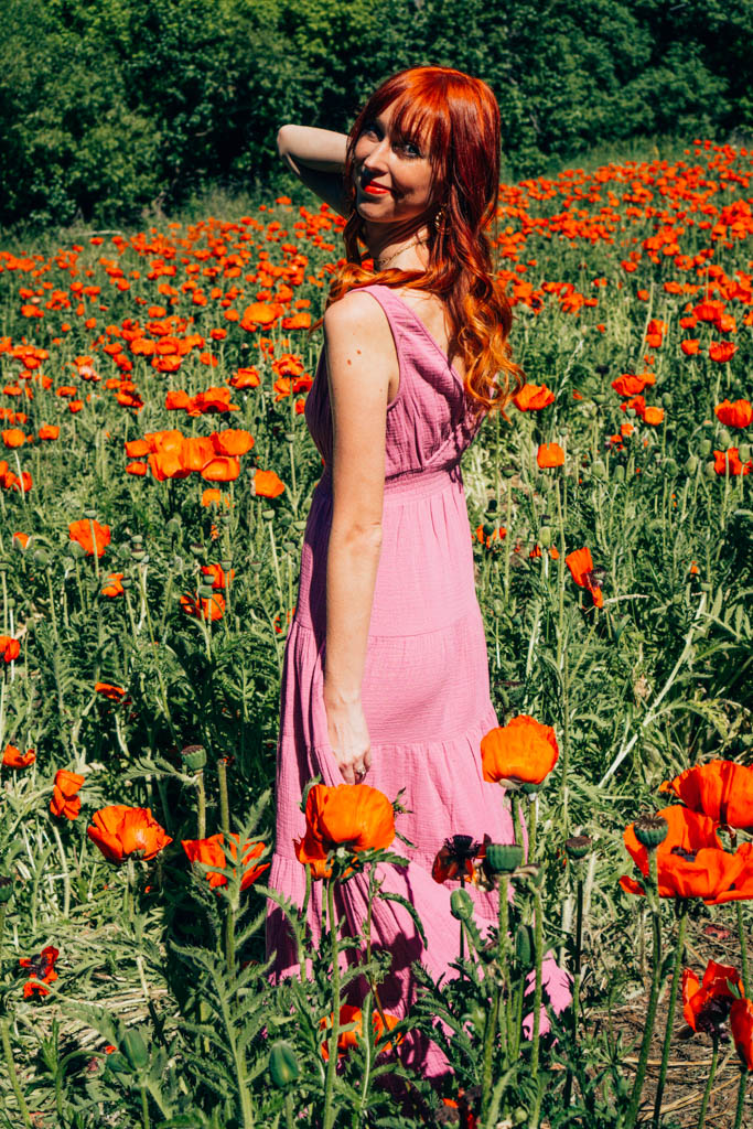 Wildflowers in Utah | Poppy Fields