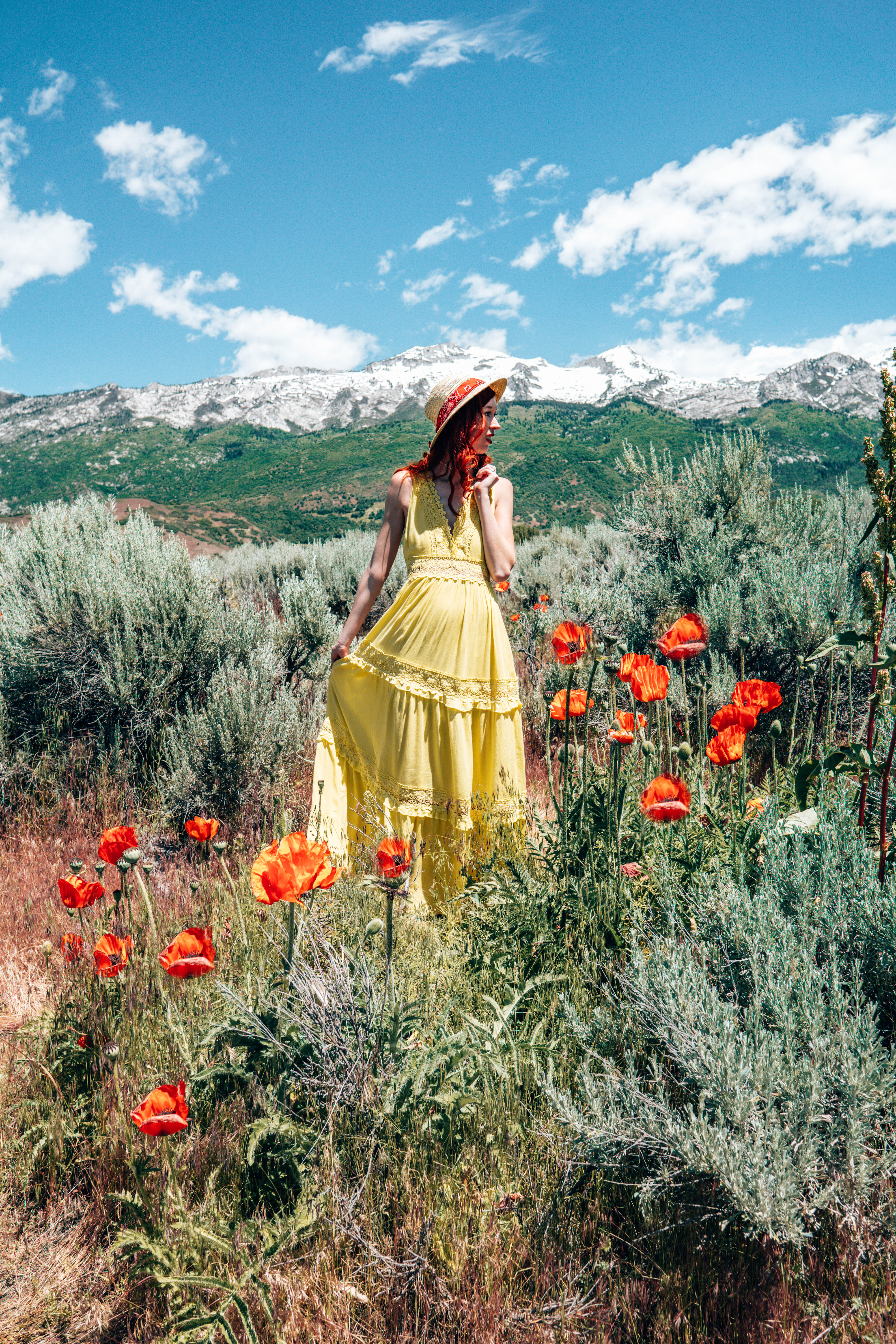 Poppy Patch  Mantua Utah 