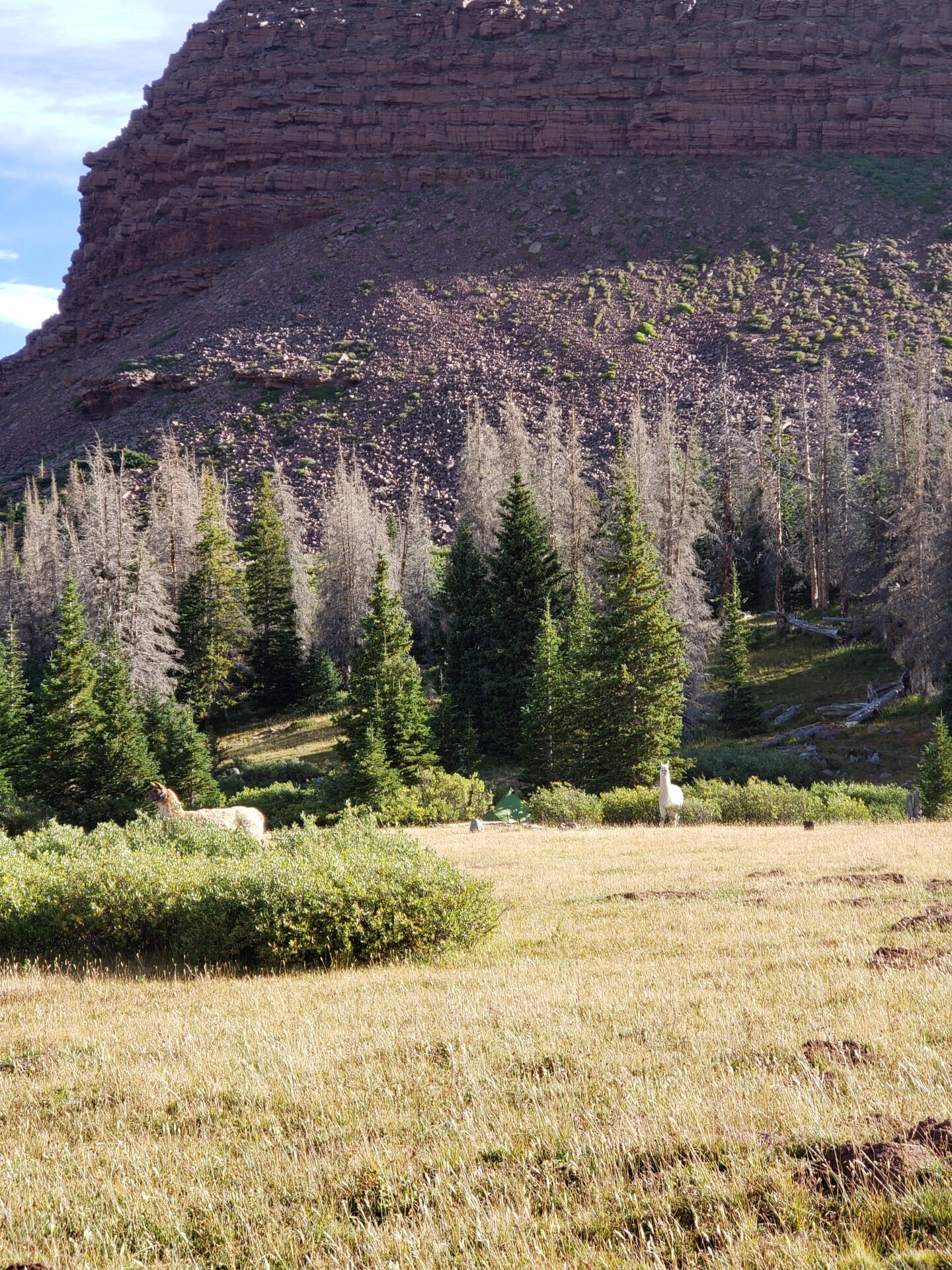 Hiking Kings Peak: The #1 Highest Peak in Utah