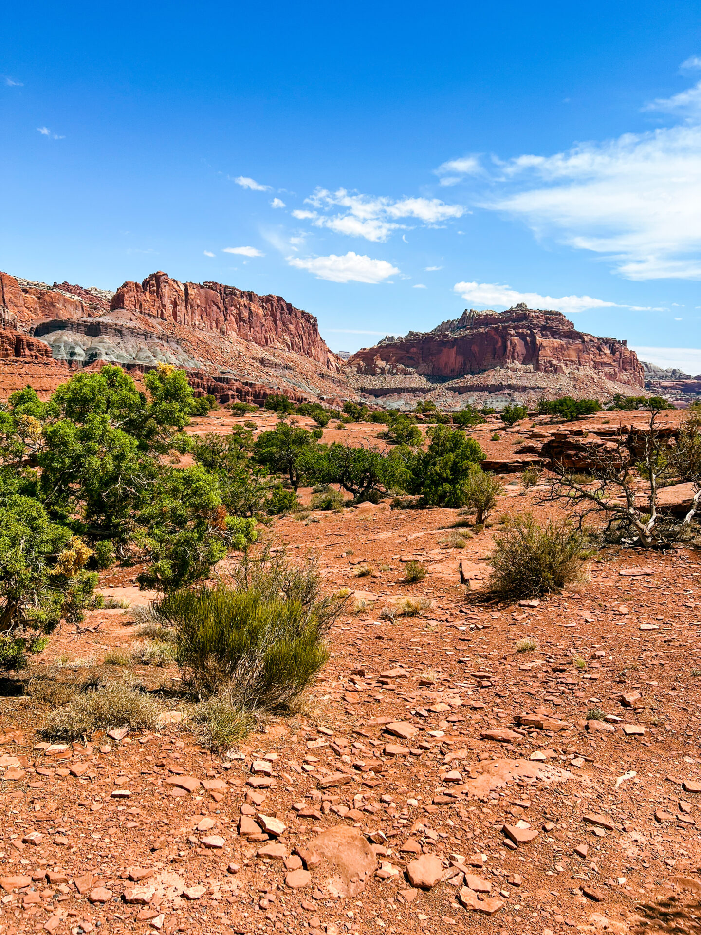 Discovering Capitol Reef: 5 Stunning Vistas to Explore