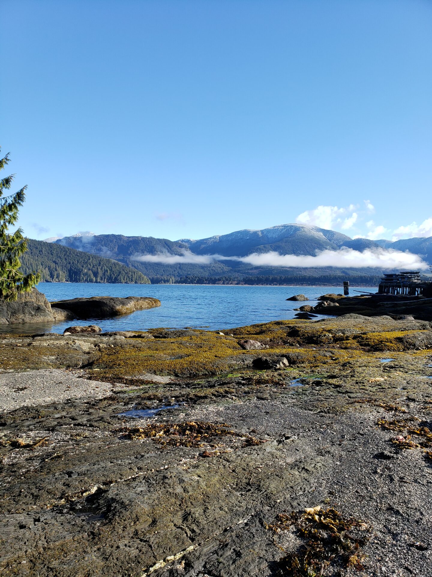 Exploring Port Renfrew: #1 Hidden Gem of Vancouver Island