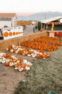 Gordo's Fun Farm pumpkin patch in Utah