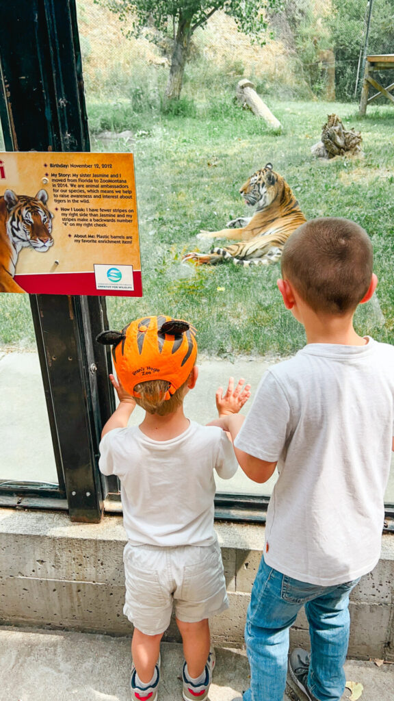 2 kids looking at a tiger at ZooMontana in Billings