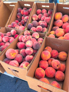 Peach Stand at Farmer's Market in Utah