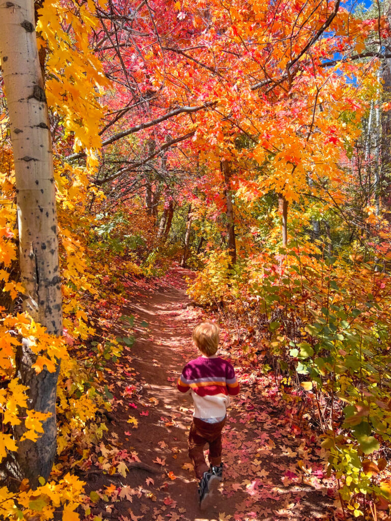 Fall hike in Park City, Utah