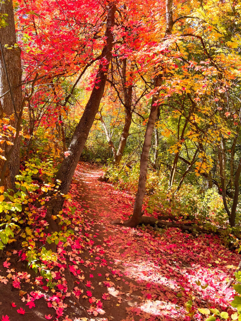 Hikes through Fall Foliage