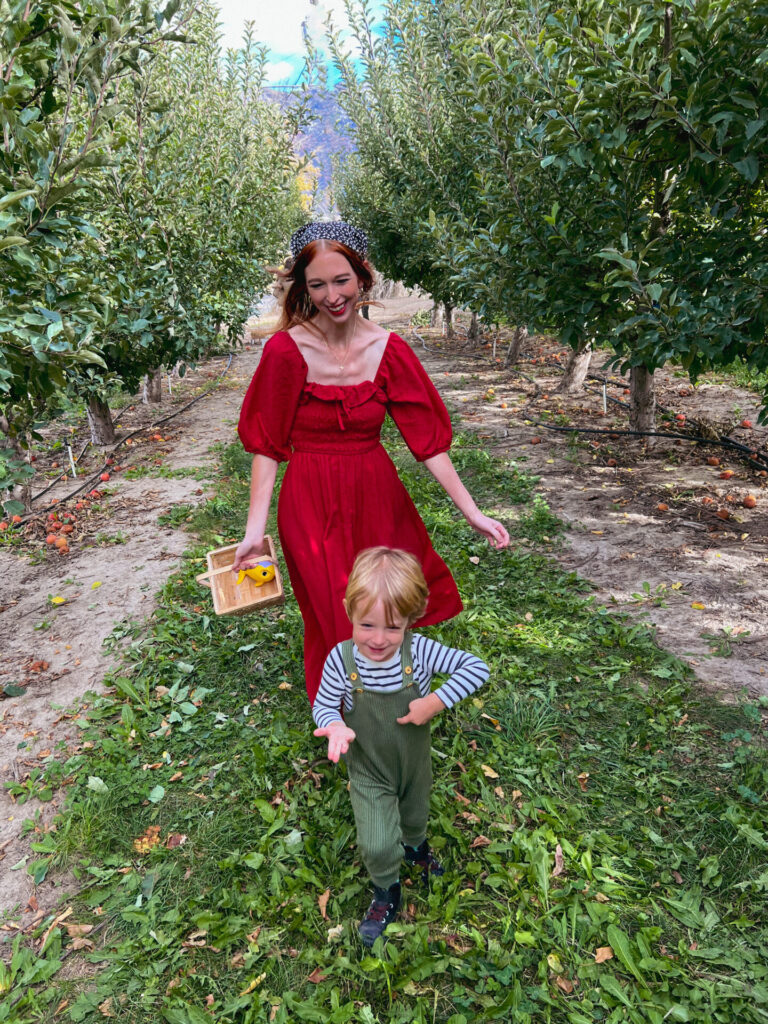 Burgess Orchards in apple picking Alpine, Utah