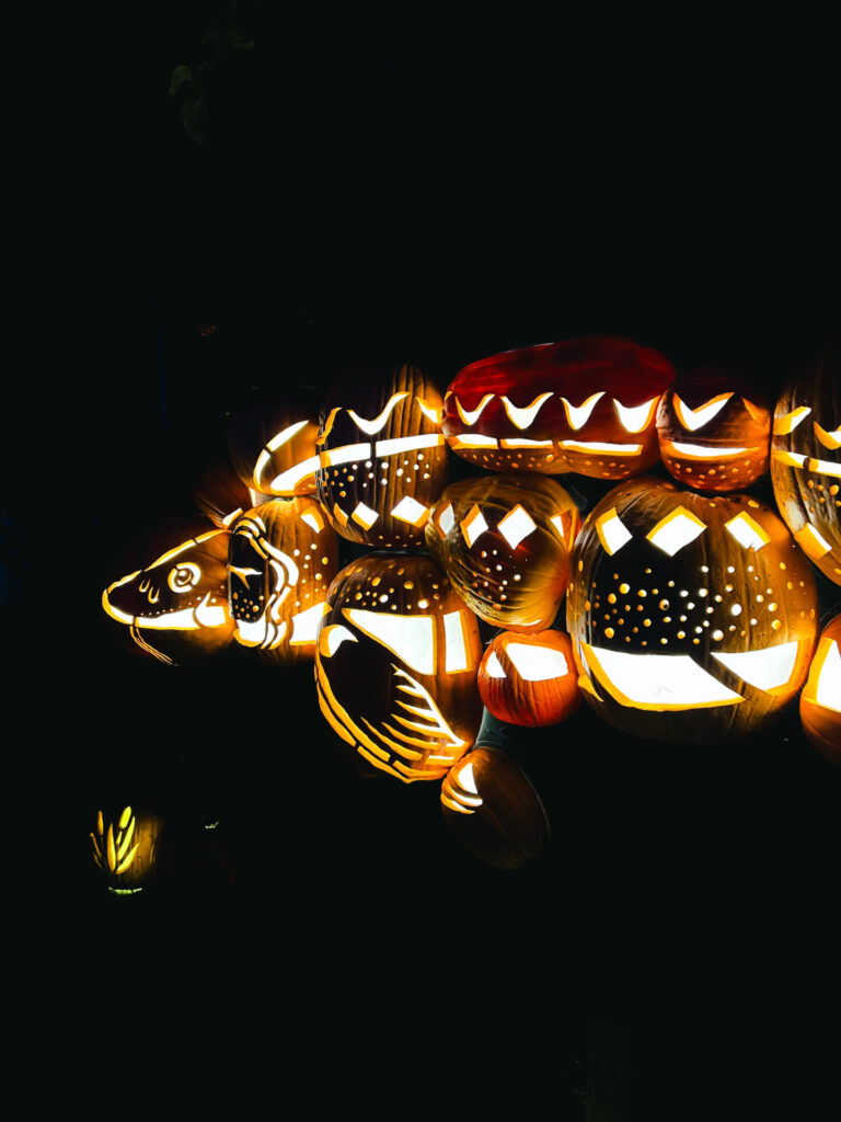 Fish display at Great Jack o Lantern Blaze