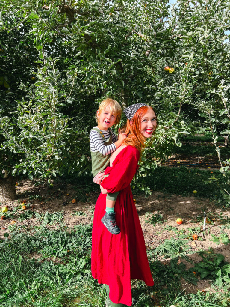 Apple picking at the apple orchard