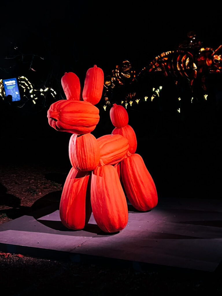 Pumpkin dog display at Pumpkin display at Great Jack o Lantern Blaze