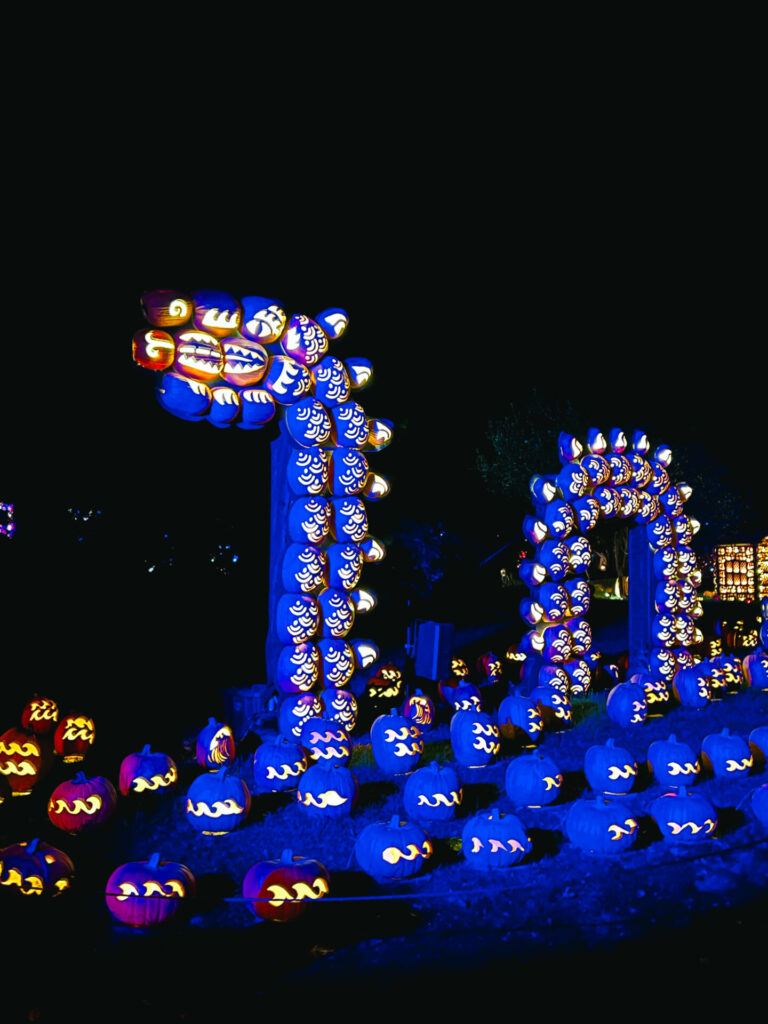 Dragon display at Pumpkin display at Great Jack o Lantern Blaze