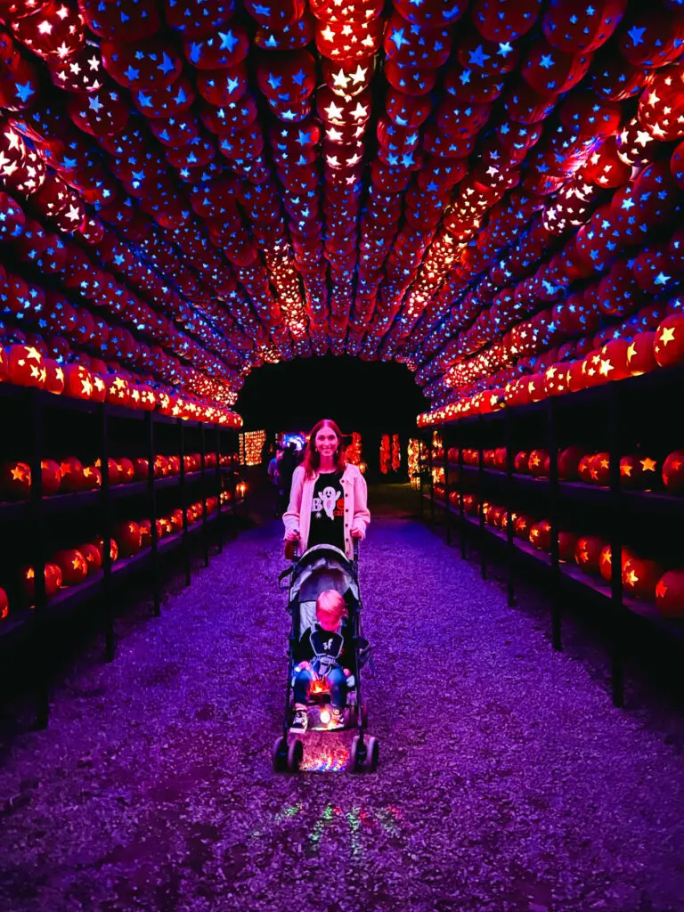 Pumpkin tunnel at Pumpkin display at Great Jack o Lantern Blaze