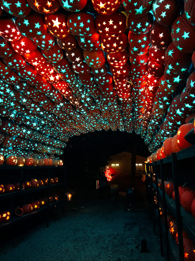 Pumpkin tunnel at Pumpkin display at Great Jack o Lantern Blaze