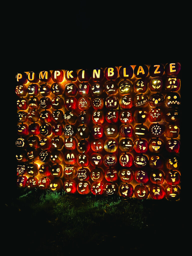 Pumpkin Blaze jack o lanterns