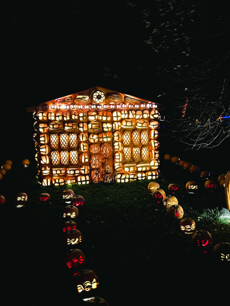 Pumpkin display at Great Jack o Lantern Blaze