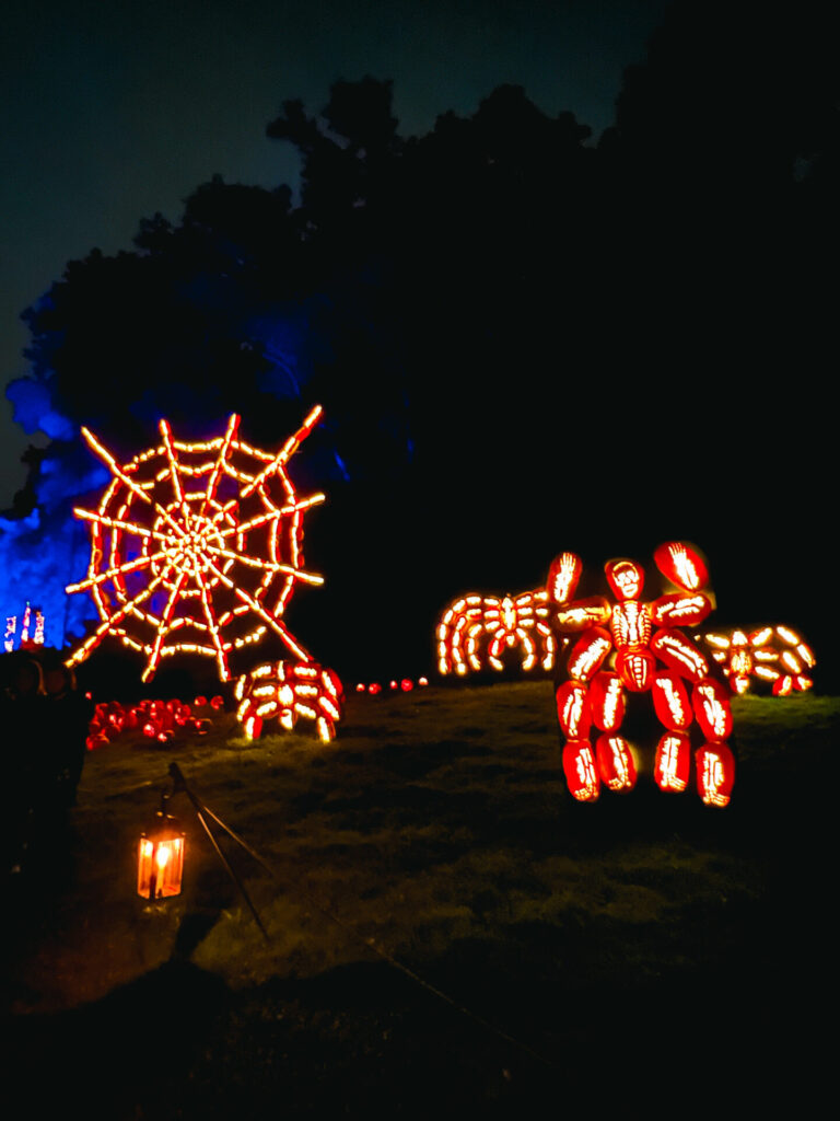 Spider and pumpkin man Display at Great Jack o Lantern Blaze in Sleepy Hollow