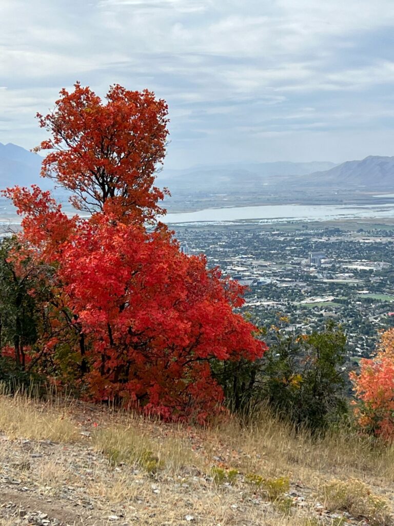 Provo Canyon Fall foliage